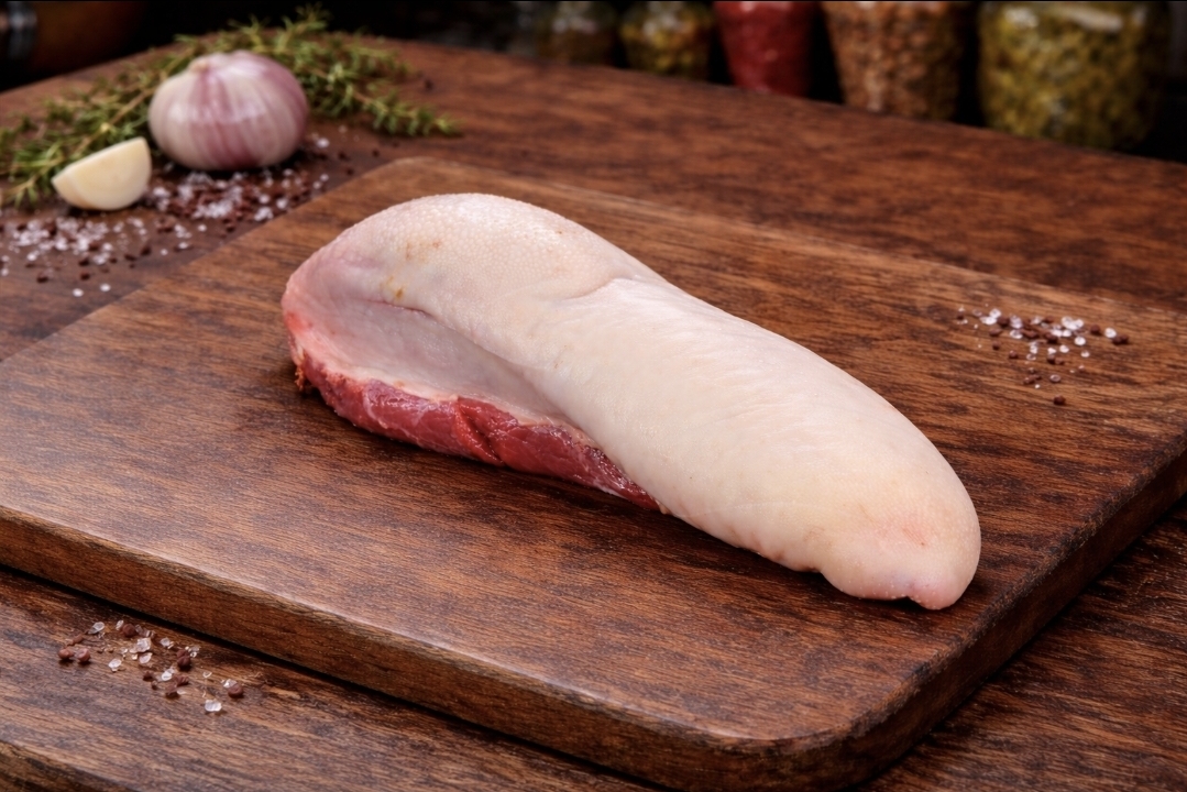 Lengua